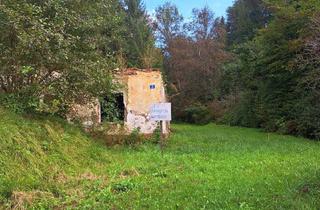 Grundstück zu kaufen in Auenweg, 9122 Seidendorf, Baugrund mit Wald