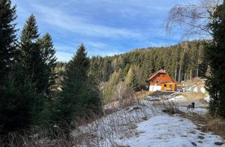 Grundstück zu kaufen in Kg Rieding noch nicht verge, 9400 Wolfsberg, Zwei Grundstücke auf der wunderschönen Koralm im Lavanttal