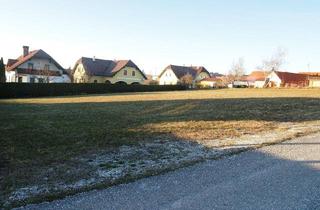 Grundstück zu kaufen in Rohrenreith, 3913 Engelbrechts, Baugrund zu verkaufen