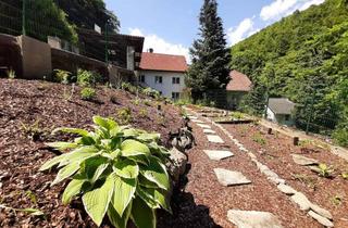  in Dießenleitenweg 160a, 4040 Linz, Garten zu vermieten - Linz Urfahr