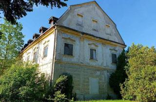 Haus kaufen in Melkerstraße 12, 3393 Matzleinsdorf, Historisches Schloss mit Nebengebäude zu verkaufen!!