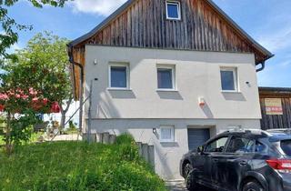 Haus kaufen in 7561 Heiligenkreuz im Lafnitztal, Vielfältig nutzbares Kellerstöckl mit 1 ha Anwesen in wunderschöner Ruhelage