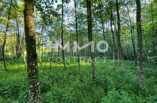 Grundstück zu kaufen in 3321 Ardagger Stift, Erholung pur im eigenen Wald mit Bach und Wiese