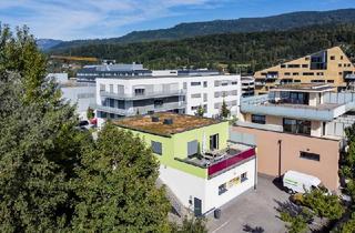 Haus kaufen in 5412 Puch bei Hallein, Multifunktionales Gebäude in Puch-Urstein