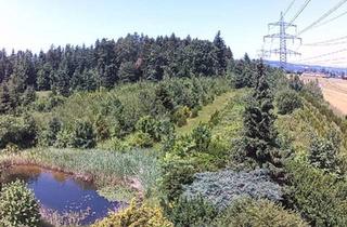 Gewerbeimmobilie kaufen in 4963 Sankt Peter am Hart, Landwirtschaftlicher Grund mit Lagerhütte, Anschluss für Wasser und Strom