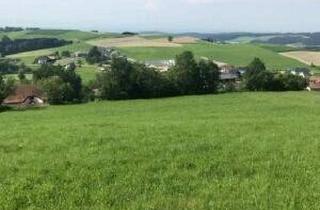 Grundstück zu kaufen in 4362 Bad Kreuzen, Nur mehr 2 Grundstücke frei - Alpenblick