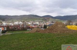 Grundstück zu kaufen in 3650 Pöggstall, Schöner Baugrund im Meran des Waldviertels!