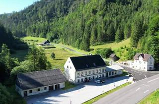 Gewerbeimmobilie kaufen in 8630 Mariazell, Hotelbetrieb mit vielfältigen Möglichkeiten in Wegscheid - Mariazell, Hochsteiermark