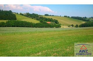 Gewerbeimmobilie kaufen in 7093 Jois, Landwirtschaftliche Flächen in Jois zu verkaufen!