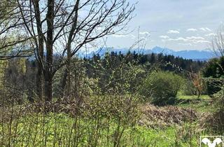 Grundstück zu kaufen in 5232 Kirchberg bei Mattighofen, Baugrund Bergblick