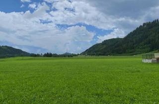 Grundstück zu kaufen in 8755 Rothenthurm, Sonniges, ebenes Grundstück Nähe Judenburg ohne Bauzwang