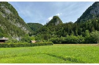 Grundstück zu kaufen in 5440 Scheffau am Tennengebirge, Sonnengrund an der Lammer