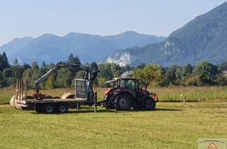 Gewerbeimmobilie kaufen in 9212 Töschling, Bauernhof