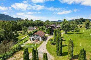 Bauernhäuser zu kaufen in 9300 Sankt Veit an der Glan, Private Reitanlage, Kleine Land- und Forstwirtschaft in der Nähe zur Burg Hochosterwitz