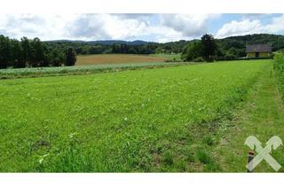 Grundstück zu kaufen in 8455 Oberhaag, Baugrund und landwirtschaftliche Fläche im "Naturpark Südsteiermark"