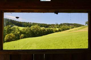 Haus kaufen in 3653 Jasenegg, Vierkanthof mit liebevollen großen Garten in Ruhelage