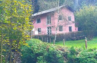 Einfamilienhaus kaufen in 2842 Edlitz, Wohnen am Waldrand mit eigenem Bächlein - Natur pur