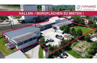 Büro zu mieten in 4631 Krenglbach, Wirtschaftspark Haiding / Krenglbach: Variable Hallen- und Büroflächen zur Miete!