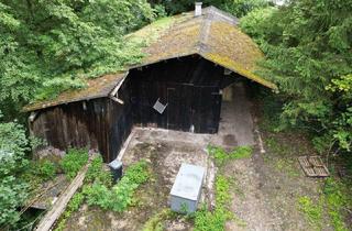 Grundstück zu kaufen in Oberkalmberg, 4362 Oberkalmberg, Großzügiges Grundstück in idyllischer Lage - 3092m² in Oberkalmberg, Oberösterreich