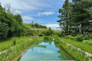 Grundstück zu kaufen in 3512 Unterbergern, ABSOLUTE RUHELAGE: Freizeitparadies in der Wachau