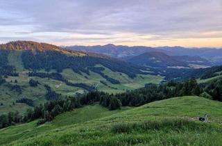 Gewerbeimmobilie kaufen in 6943 Riefensberg, Große Alpe mit Bergwiesen und Wald sowie Sennerei und Wohnräume!