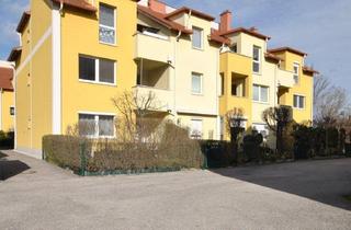 Wohnung mieten in 2624 Breitenau, Schöne Mietwohnung mit Balkon in Breitenau, neben Badeteich!