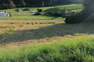 Grundstück zu kaufen in Affenberg 111, 4204 Haibach im Mühlkreis, Baugrundstück OHNE Bauzwang auf einem sonnigen Hang in Haibach im Mühlkreis