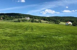 Grundstück zu kaufen in Weingebirge - Äußerer Gatscher, 7471 Rechnitz, Grundstück im Weingebirge Rechnitz