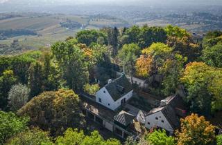 Villen zu kaufen in Am Kahlenberg, 1190 Wien, Liebe zur Nostalgie: Historische Villa am Kahlenberg mit Blick über Wien