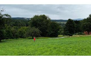 Grundstück zu kaufen in Gfangen 15, 7423 Pinkafeld, Baugrundstück mit Panoramablick