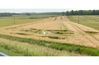 Grundstück zu kaufen in 7342 Kaisersdorf, Erwerben Sie Ihr eigenes Agrarparadies im Burgenland - 16.920m² Landwirtschaft zum Kauf!