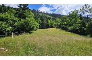 Grundstück zu kaufen in 9831 Innerfragant, Traumhaftes Baugrundstück in idyllischer Lage nahe Flattach, Kärnten - nur 199.000,00 €!
