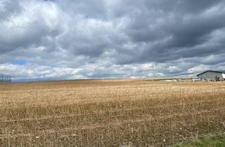 Grundstück zu kaufen in Krems, 3613 Els, Betriebsbaugrund Krems Land