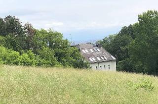 Wohnung mieten in Ghelengasse 42, 1130 Wien, Vermietung einer tollen Wohnung in der Nähe des Lainzer Tierparks in 1130 Wien