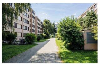 Wohnung mieten in Raiffeisenstrasse 52, 8010 Graz, Schöne 1-Zimmer-Wohnung mit Balkon und EBK in Graz