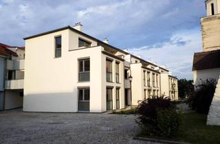 Wohnung mieten in Poysdorferstraße 1, 2143 Großkrut, Großkrut I - LZ 2340 - Top 202