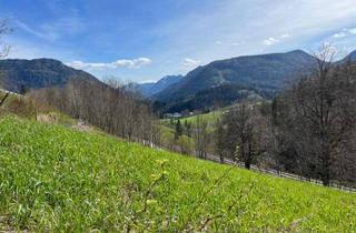 Grundstück zu kaufen in 8630 Mariazell, MARIAZELL - sonniger Bergblick - Grundstück, unweit entfernt vom Zentrum unseres schönen Mariazells!