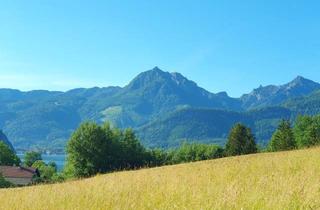 Grundstück zu kaufen in 5360 Aschau, Seeblick, Bergblick, Ruhelage - Baugrundstück