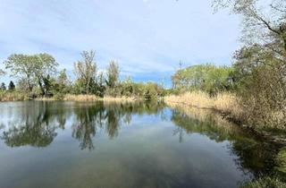 Einfamilienhaus kaufen in Am Mühlwasser, 1220 Wien, Für Naturliebhaber direkt am Mühlwasser und … Prov. frei f. Käufer // For nature lovers directly on the Mühlwasser and... Prov. free f. Buyer //