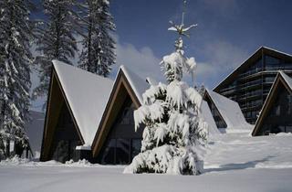 Haus kaufen in 4573 Hinterstoder, Buy-to-Let Alpine Lodges