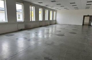 Büro zu mieten in Ödenburger Straße, 7033 Pöttsching, große Bürofläche bzw. Verkaufsfläche mit ausreichend Parkplätzen im Industriegebiet zu vermieten – individuell gestaltbar