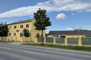Grundstück zu kaufen in 2700 Wiener Neustadt, Wiener Neustadt: Großes Baugrundstück mit Mehrfamilienhaus und Garagen am Stadtrand