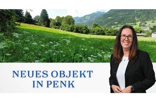 Grundstück zu kaufen in 9815 Oberkolbnitz, 1 Grundstück - Ihr neues Zuhause in einer malerischen Lage in Penk. Ideal auch für Tierhaltung/Landwirtschaft.