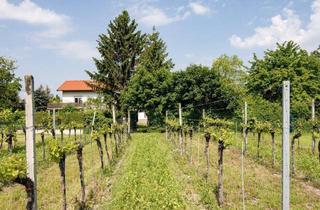 Grundstück zu kaufen in 2511 Pfaffstätten, BEZIRK BADEN: PFAFFSTÄTTEN: Baugrundstück in toller grüner und ruhiger Lage