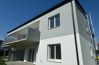 Wohnung kaufen in Packer Straße, 8054 Seiersberg, 4 Zimmer Neubauwohnung (93 m²) mit Terrasse und Grünfläche in Seiersberg