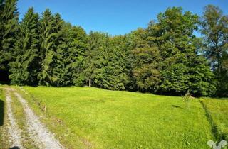 Grundstück zu kaufen in 8112 Gratwein, Idyllische Waldrandlage in der Nähe von Graz