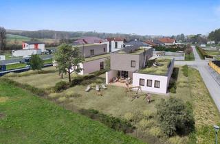 Haus kaufen in 2276 Reintal, Rohbau mit großem Potential - 980m² Grundstücksfläche