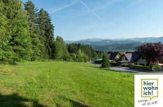 Grundstück zu kaufen in Puchbachstraße, 8582 Rosental an der Kainach, Traumhafte Aussicht: Großer Baugrund am Waldrand