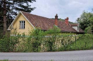 Bauernhäuser zu kaufen in 2860 Kirchschlag in der Buckligen Welt, Renovierungsbedürftiges Bauernhaus in absoluter Ruhelage und Garten in Kirchschlag