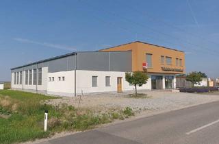 Immobilie kaufen in 7152 Pamhagen, Tischlerei mit Produktionsstätte, Lagermöglichkeiten und einer Wohnung